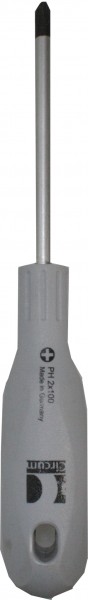 Destornillador PZ 2x100mm